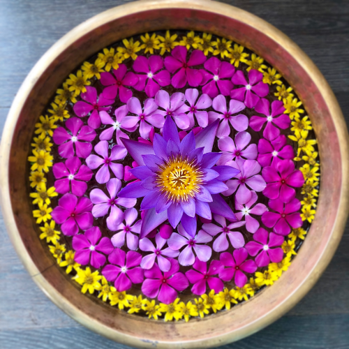 Bowl with flowers